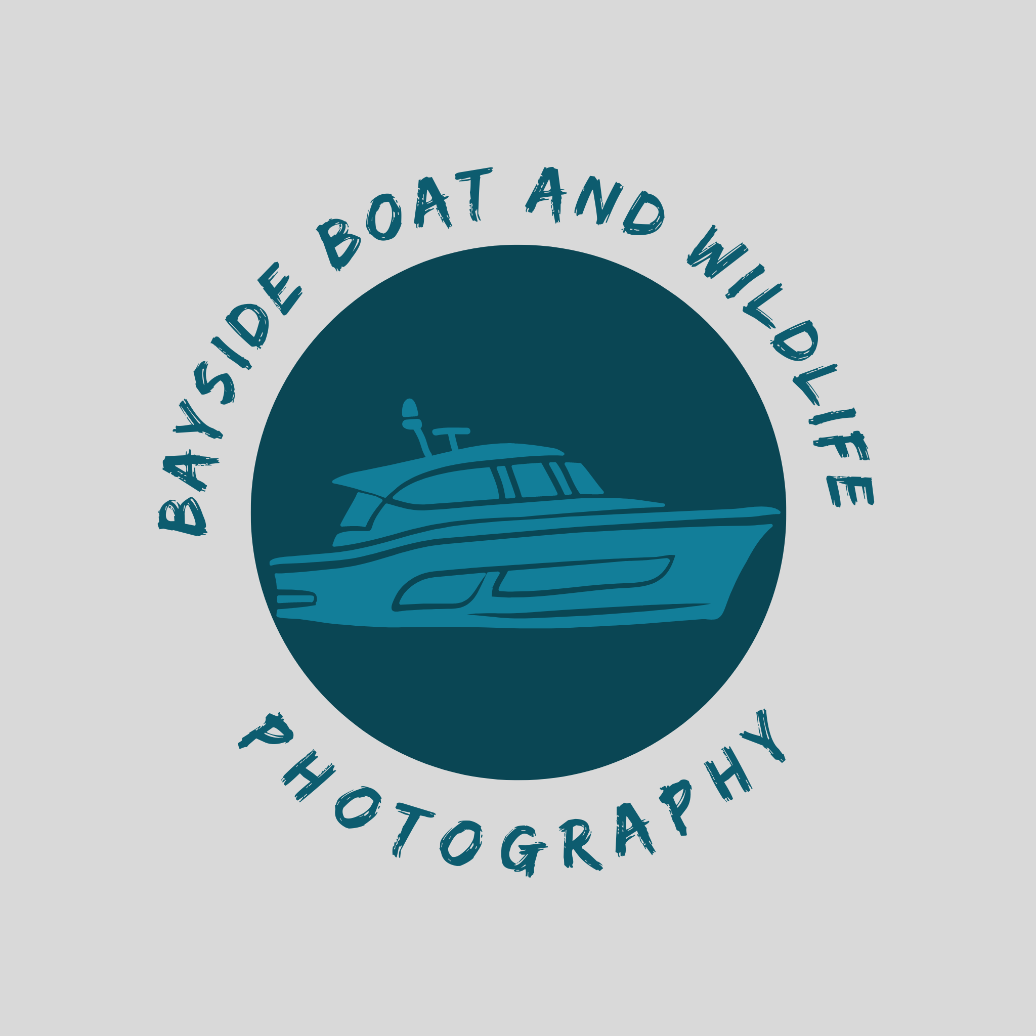Bayside Boat & Wildlife Photography
